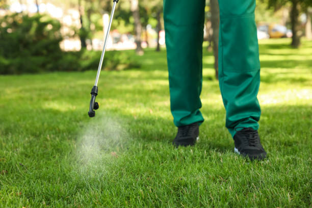 Best Pest Removal Services  in Rumson, NJ