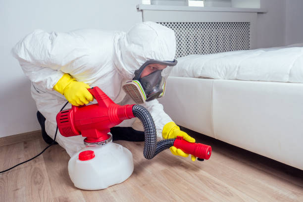Best Wasp Removal Services  in Rumson, NJ