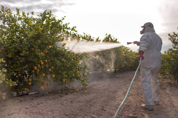 Best Bed Bug Extermination  in Rumson, NJ